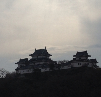 結婚記念日の和歌山旅行も楽しい思い出作りが出来ました