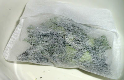 レモンの葉でお茶を作って飲みました