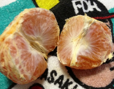 夏が近づくのに「南津海(なつみ)」と言うみかんを食べました