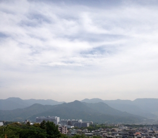 今日は月命日なのでお墓参りへ行きました