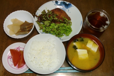毎日、低カロリーな晩ご飯を!(6.1〜6.7)