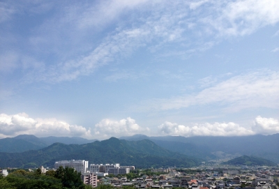 月命日でお墓参り、晴れていて清々しい気持ちとなりました