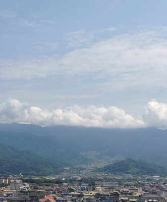 月命日でお墓参り、晴れていて清々しい気持ちとなりました