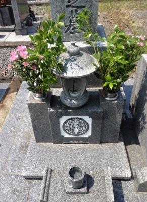 月命日でお墓参り、晴れていて清々しい気持ちとなりました