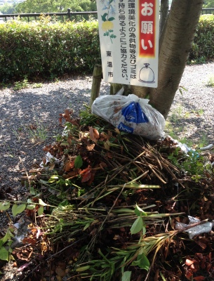 月命日でお墓参り、晴れていて清々しい気持ちとなりました