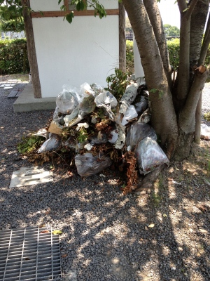 皮膚科の帰りにお墓参りに行きました