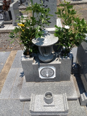 皮膚科の帰りにお墓参りに行きました