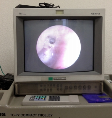 4か月振りの耳鼻科通院日でした