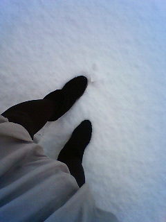 201101070917000.jpg