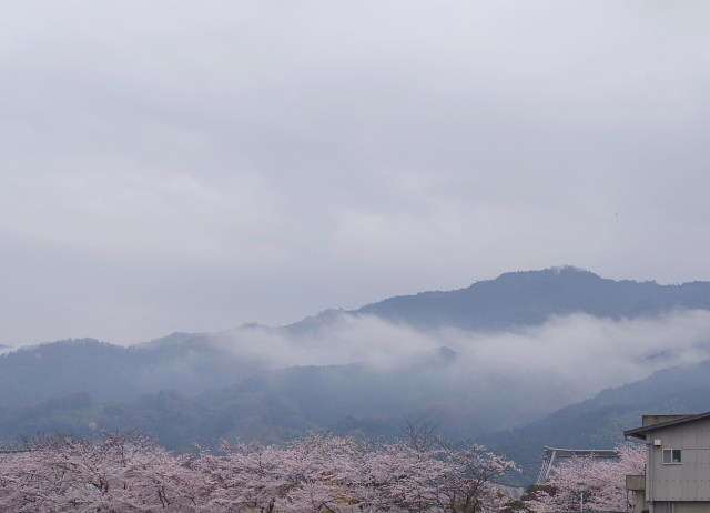 conv0065.jpg