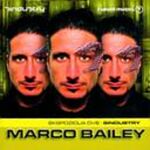 Marco Bailey-Ekspozicija Dve:Sindustry