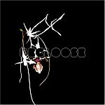 Recloose-Hiatus on the Horizon
