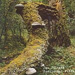 Jan Jelinek-Kosmischer Pitch
