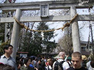かなまら祭り1