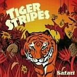 Tiger Stripes-Safari