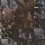 Ame-Fiori