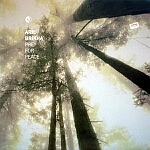 Aril Brikha-Prey For Peace