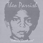 Theo Parrish-Extended Boundaries