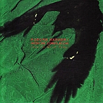 Haruomi Hosono-Medicine Compilation From The Quiet Lodge