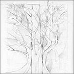 Kami-Sakunobe House Explosion K-S.H.E-Routes Not Roots