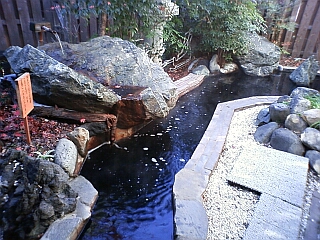 深大寺温泉ゆかり2