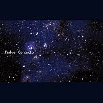 Tadeo-Contacto