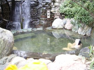 茂美の湯3
