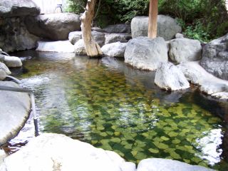 山口温泉5