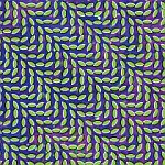 Animal Collective-Merriweather Post Pavilion