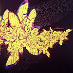 Mirko Loko - Seventynine Remixes