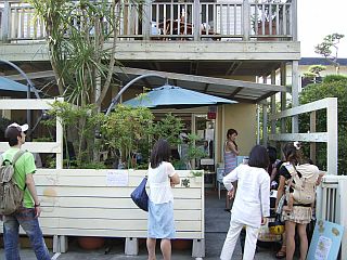 埜庵