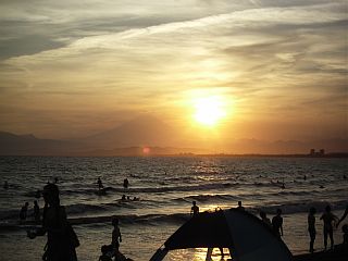 Sunset Palm7