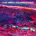 Luke Abbott - Holkham Drones
