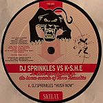DJ Sprinkles Vs K-S.H.E - A Short Introduction To The House Sounds Of Terre Thaemlitz