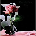 Pop Ambient 2011