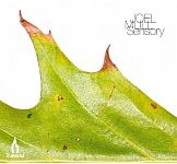 Joel Mull - Sensory
