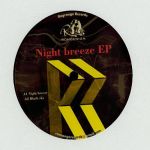 Rondenion - Night Breeze