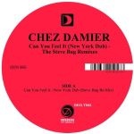 Chez Damier - Can You Feel It (New York Dub) - The Steve Bug Remixes