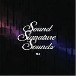 Theo Parrish - Sound Signature Sounds Vol. 2