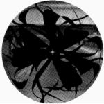 Theo Parrish - Dance Of The Medusa