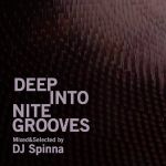 Deep Into Nite Grooves Mixed & Selected By DJ Spinna