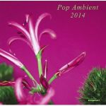 Pop Ambient 2014