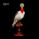 Deetron - Fabric 76