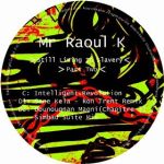 Mr Raoul K - Still Living In Slavery (Part Two)
