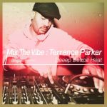 Terrence Parker - Mix the Vibe : Deeep Detroit Heat