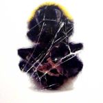 Deadbeat - Walls And Dimensions