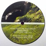 Asian Psilocybe Foundation - Water Vein EP
