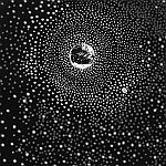 GONNO × MASUMURA - In Circles
