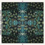Jonny Nash Lindsay Todd - Fauna Mapping