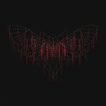 John Beltran - Moth